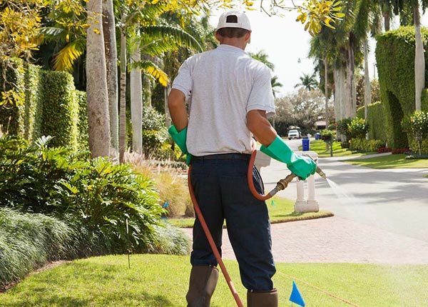 About Catron MO Pest Control